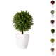 thumbnail image 4 of Planta artificial en maceta Plantas artificiales Bonsai Árbol de simulación Flores falsas decorativas de escritorio kenally JJ25587-04B, 4 of 6
