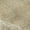 Ivory, variant on Addison Rugs Mayfield Premium Machine Washable Traditional Global Paprika Rectangle Rug, 10' X 14' Machine Washable Traditional Global Paprika Oversized Sherpa Throw Blanket