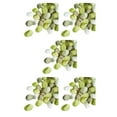 thumbnail image 1 of Maytalsory 400piece Transform Any Setting With Fake Scatter Petals Reusable fruit green assortedcolor 5Set, 1 of 6
