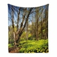 thumbnail image 1 of Nature Soft Flannel Fleece Blanket, Spring Forest Flower Field and Trees Dreamy Eco in Sunny Open Sky Landscape, Cozy Plush for Indoor and Outdoor Use, 60" x 80", Yellow Blue Brown, by Ambesonne, 1 of 6