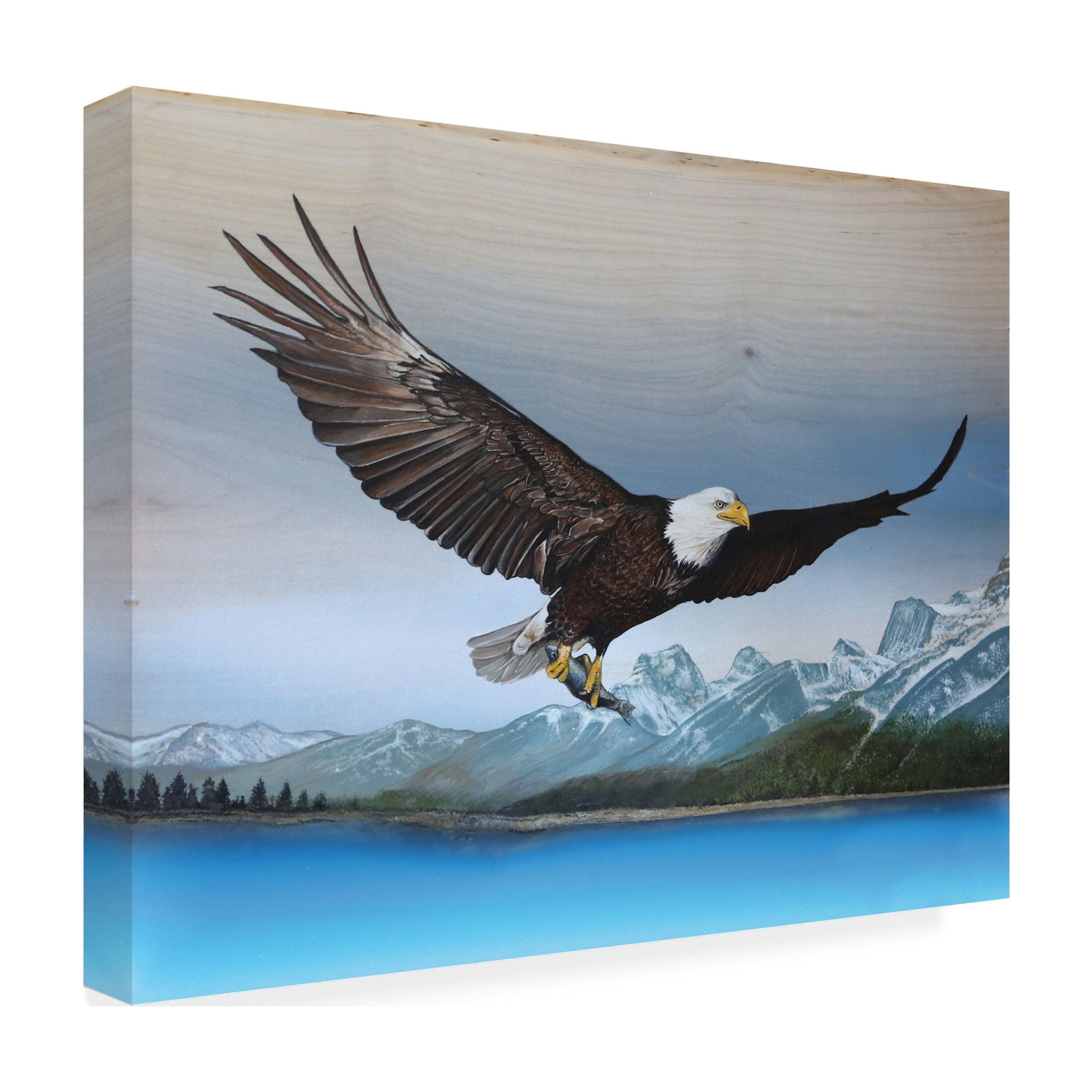 Canvas Wall Art - Jim Brune 'Bald Eagle Mountain' Wall Art for Living Room, Bedroom, or Office DÃ©cor by Trademark Fine Art - 32 x 24 Inches