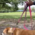 thumbnail image 7 of Pawtitas Double Handle Dog Leash Ideal for Medium and Large Dogs Training Dog Leash - Medium / Large - Purple Orchid, 7 of 7