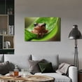 thumbnail image 2 of BCIIG Canvas wall art deco small koki frog a leaf hawaiian print picture artwork decoration living room bathroom bedroom decoration, 2 of 5
