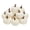 12Pcs White, variant on RUINIXCW 8/12/24/48Pcs Artificial Pumpkins Fall Decorations Thanksgiving Halloween Pumpkins Assorted Small Fake Pumpkins Mini Foam Pumpkins Autumn Harvest Home Decor