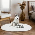 thumbnail image 3 of OULII Ensemble de Table pour Chiot Absorbant l'Eau Diatomite 1 Ensemble pour Alimentation Quotidienne, 3 of 8