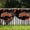 C, variant on Halloween Garden Flags 2 Pack Spooky Yard Decorations Durable Polyester Outdoor Indoor Wall Hanging Banners 17.7x35.4 in