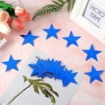 thumbnail image 5 of Dalrosia 10PCS Paper Garland Banner, Glitter Circle Star Hanging Streamer Iridescent Paper Backdrop Banner for Birthday Wedding Christmas Engagement Festival Party Home Decor, 5 of 7