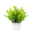 thumbnail image 1 of 1 pieza de pequeñas plantas artificiales en maceta, para mesa, estantería, baño., 1 of 6