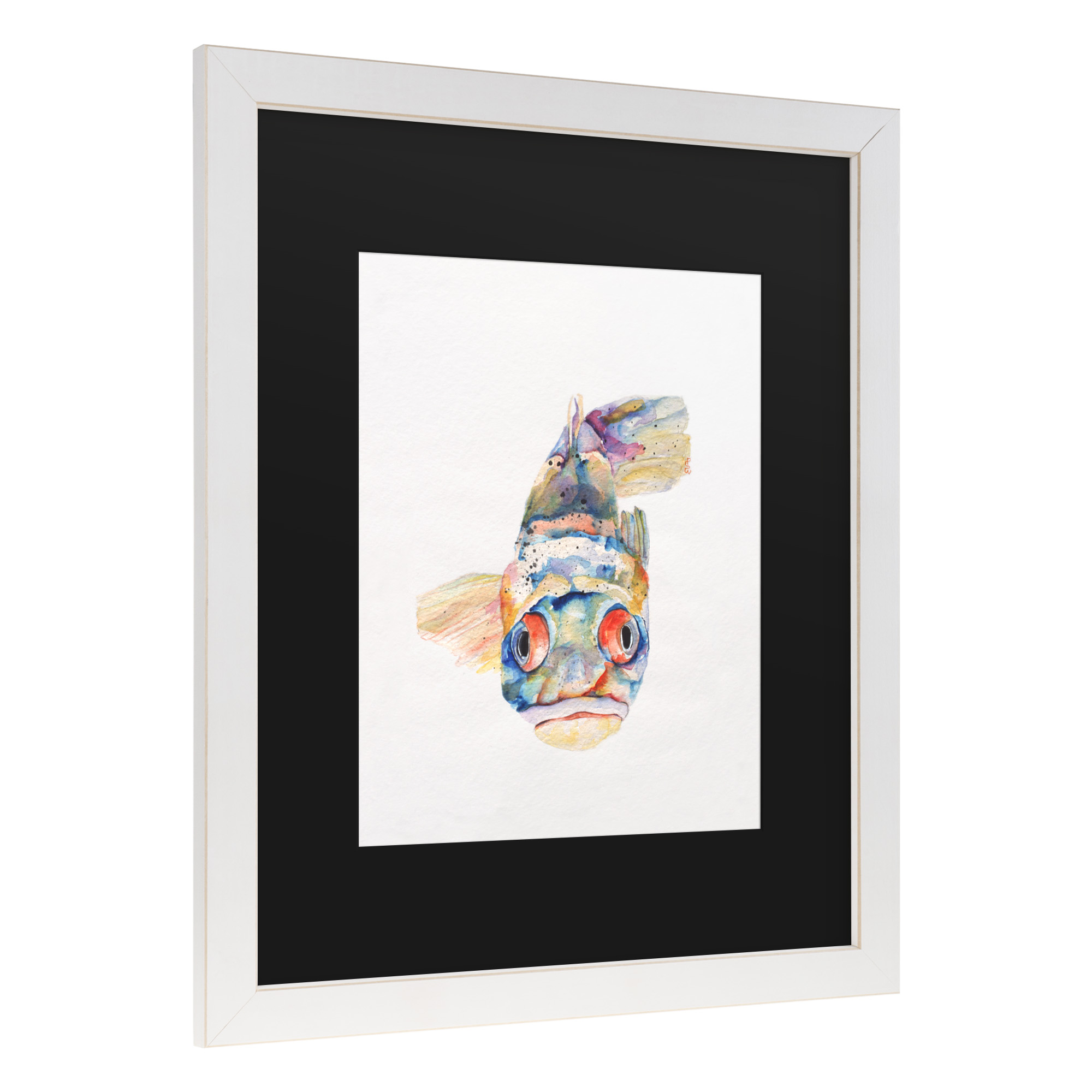 Trademark Fine Art 'Blue Fish' Canvas Art by Pat Saunders-White