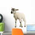thumbnail image 1 of Lamb Wall Decal by Wallmonkeys Peel and Stick Graphic (18 in H x 18 in W) WM47786, 1 of 4