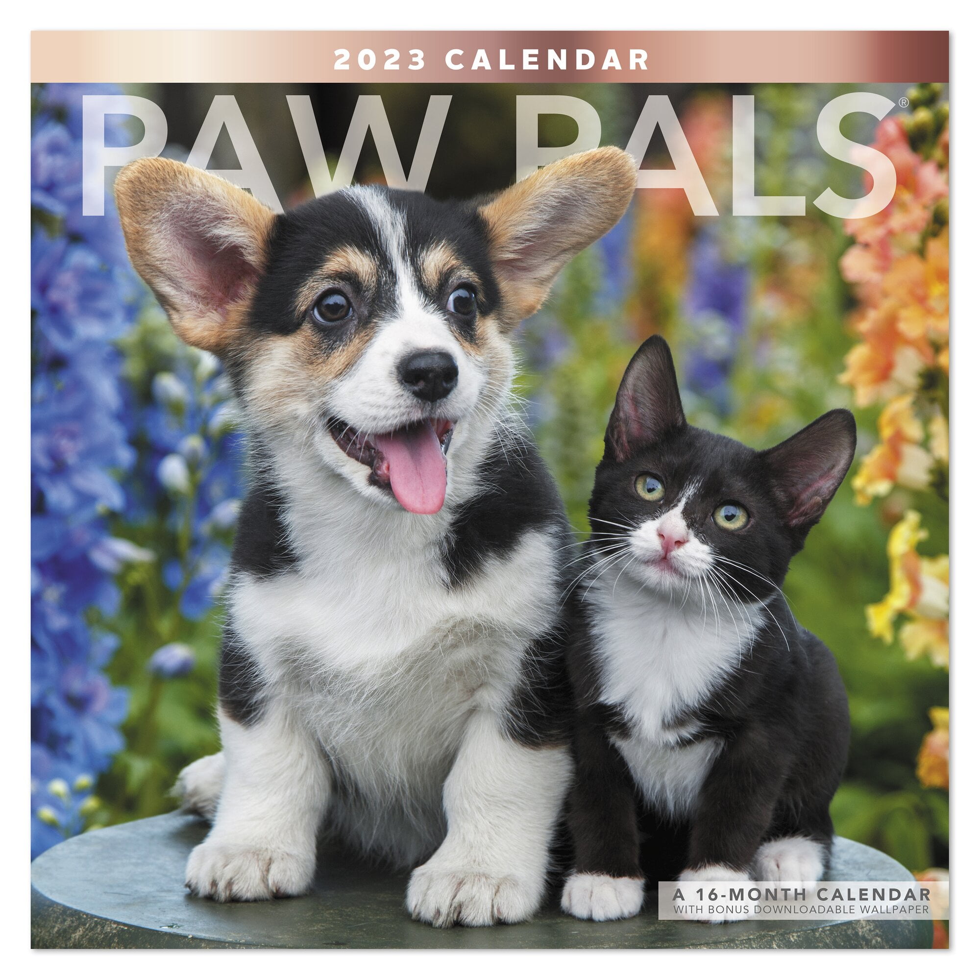 Paw Pals 2023 Monthly Wall Calendar 12 x 12 - Wall Calendars