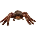 thumbnail image 3 of The Petting Zoo Tarantula Stuffed Animal, Gifts for Kids, Wild Onez Zoo Animals, Tarantula Plush Toy Sitting 12 inches, 3 of 7