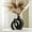 Large Matte Black, variant on Snuggle Hollow Modern Ceramic Vase Set of 2, Mid Century Nordic Aesthetic Decorative Vase Decorative Vases for Home Table Decor (Matte Black W 6.8" X H 11")