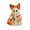 Without Lights, variant on Cute Ghost Figurine – 9.45 Inch Resin Halloween Decor with Big Bow and Patchwork, Hand Painted Spooky Cute Ghost HoldingPumpkin Bucket, Desk Ornament for Home Decor