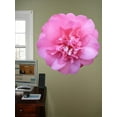 thumbnail image 2 of Hollis Pink Camellia Wall Decal Cutout, 2 of 2