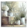 thumbnail image 1 of Epic Art 'Pretty Plants On Display' by White Ladder, Acrylic Glass Wall Art, 24"x24", 1 of 8