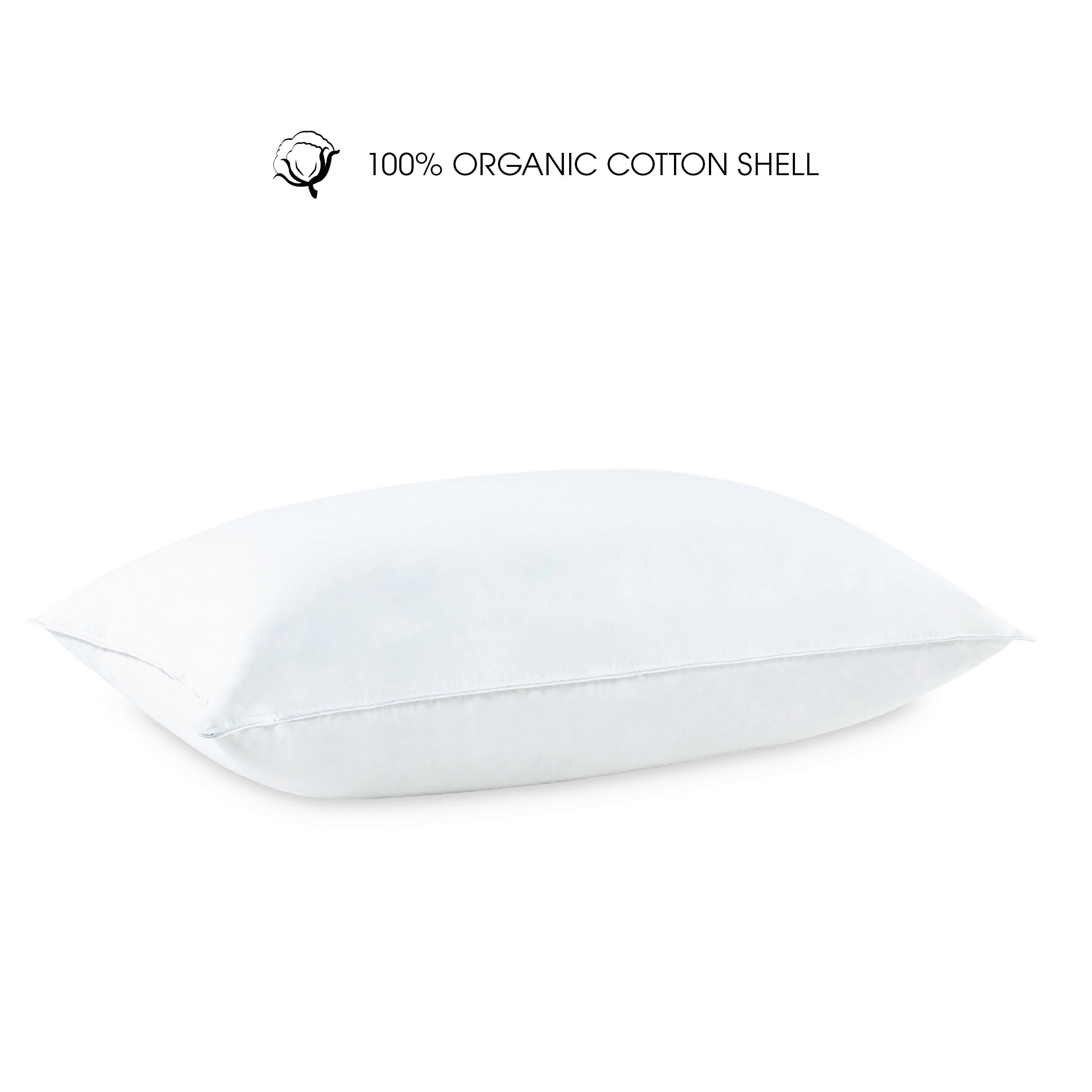 I AM EcoFriendly Organic Cotton Natural Pillow in 20"x28"