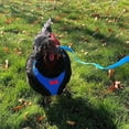 thumbnail image 2 of Arnés de pollo con correa, ajustable, resistente, cómodo, transpirable, arnés para mascotas pequeñas para pato, ganso, gallina, perros pequeños M, 2 of 5