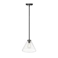 thumbnail image 2 of Millennium Lighting  Aliza 1 Light Pendant with Clear Glass Shades Matte Black, 2 of 5