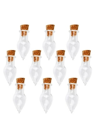 LEFV 25 Mini Glass Bottles 1-inch Message Treasure Charm Pendant Kit Makes  Bottle Pendants 1ml Clear…See more LEFV 25 Mini Glass Bottles 1-inch
