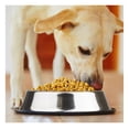 thumbnail image 4 of JTAOT Weebo Stainless Steel Water & Food Bowl for Dogs and Cats | No-Tip No-Slip |Dishwasher Safe |40 Ounce Classic Stainless Steel, 4 of 7