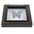 thumbnail image 1 of LEEYNEER Real Butterfly Framed Butterfly Specimen Photo Frame Specimen Butterfly Display Holder Butterfly Frame Wooden Picture Frame Butterfly Framed, 1 of 6