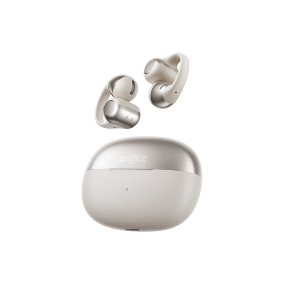 Shokz OpenDots ONE Open-Ear True Wireless Earbuds Gray