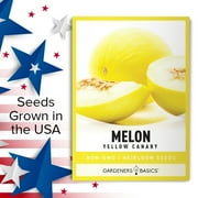 Yellow Canary Melon Seeds