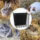 thumbnail image 3 of Rabbit hay feeder, small animal food holder, multifunctional, hay feeding stand, food dispenser for hedgehogs, 3 of 5