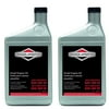 Briggs and Stratton 2 Pack Of Genuine OEM Replacement Oil # 100074-2PK