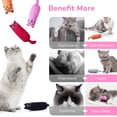 thumbnail image 4 of Paquete de 5 piezas de juguetes para gatos con hierba gatera resistentes a las mordeduras, juguetes para masticar con dentición de gato con ratón de dibujos animados que contienen hierba gat, 4 of 5