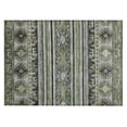 thumbnail image 2 of Addison Rugs Chantille Indoor/Outdoor Transitional Global Fern Washable Rectangle Rug, 1'8" x 2'6", 2 of 6