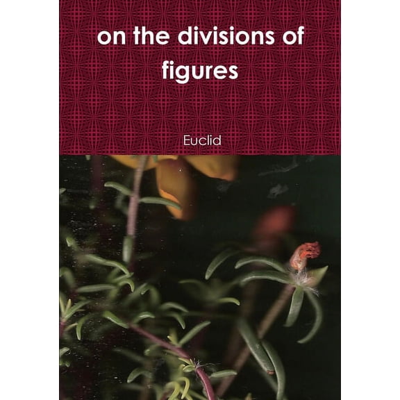 on the divisions of figures (Paperback)