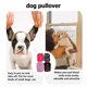 thumbnail image 3 of WASHWEPE 4Pcs Dog Pullover Clothes Breathable Summer Outfit for Small Dogs and Cats, 3 of 6