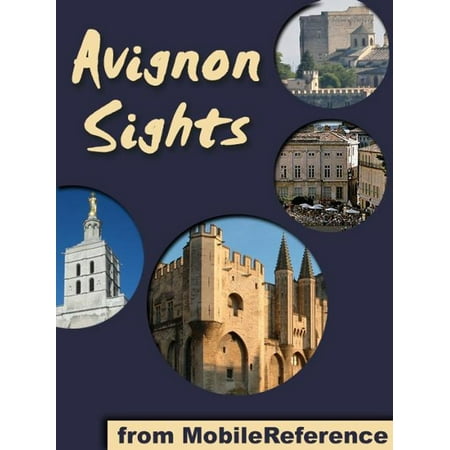 Avignon Sights: a travel guide to the top 15 attractions in Avignon, France (Mobi Sights) -
