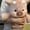 17.7Inch-Pink Cow, variant on Guvpev 21.6" Soft Plush Running Panda, Interactive Stuffed Animal with Shaking Moving Legs, Large Cuddly Stress Relief Panda Doll, Unique Creative Desk Companion & Birthday Gift for Kids & Adults