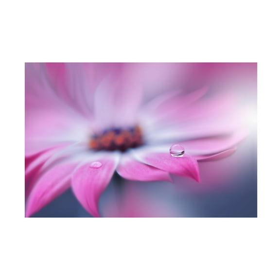 Canvas Wall Art - Juliana Nan 'Natural Purple' Wall Art for Living Room, Bedroom, or Office D?cor by Trademark Fine Art - 19 x 12 Inches