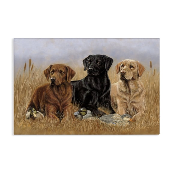 Stupell Industries Dog Trio & Ducks Animals & Insects Painting Gallery Wrapped Canvas Art Print Wall Art, 24 x 16