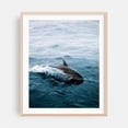 thumbnail image 2 of Ocean Glide - Iceland Photography Ocean Waves Wildlife Seascape Animal Nature Unframed Wall Art Print 6 x 8 inches, 2 of 13