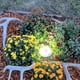 thumbnail image 3 of FloreceBien - Paquete de 4 luces solares para suelo, 8 luces LED de disco solares para exteriores, luces impermeables para suelo, luces solares para jardín, luces de paisaje para caminos, patios,, 3 of 8