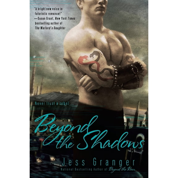 Pre-Owned Beyond the Shadows (Paperback) 0425234150 9780425234150