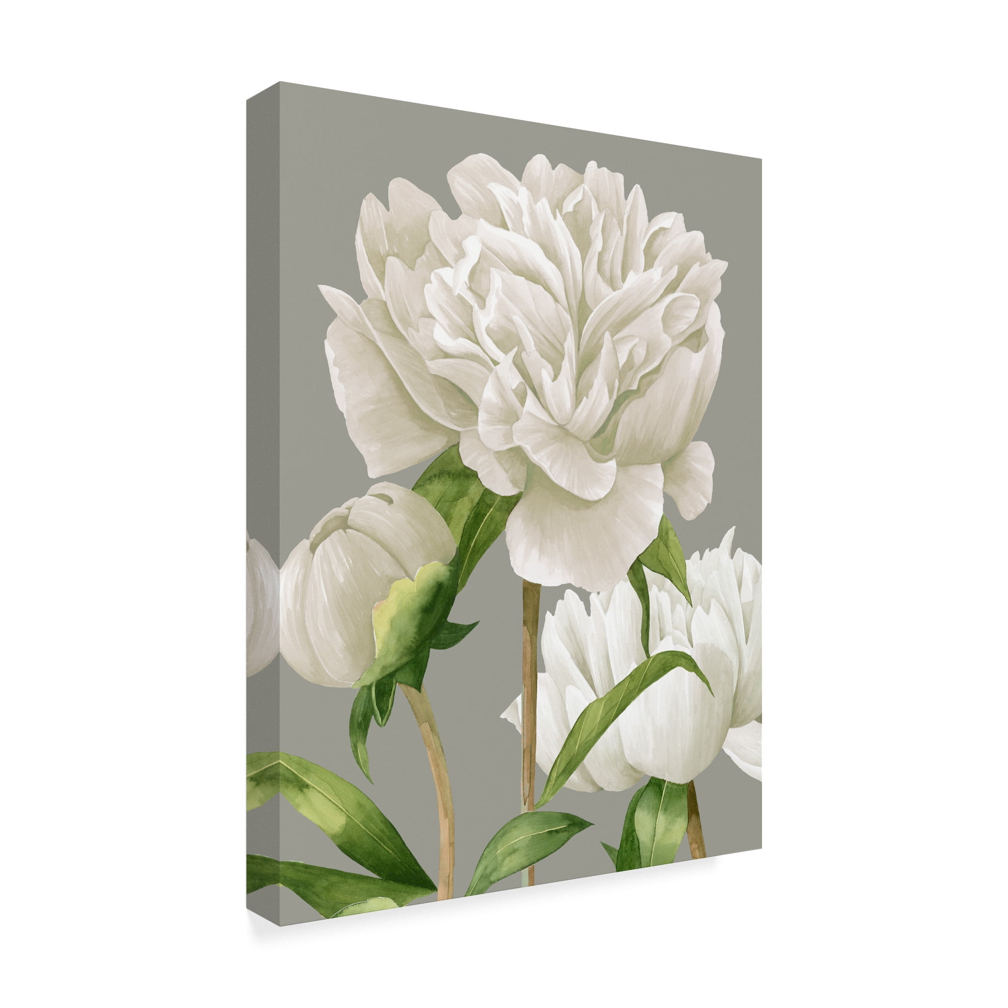 Trademark Fine Art 'White Peonies II' Canvas Art by Grace Popp