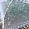 thumbnail image 4 of Moyic Paraguas portátil de 6 uds., cubierta para comida, cubierta antimosquitos para comida, de encaje para el hogar, cubierta para Cubiertas para muebles de jardín, 4 of 6