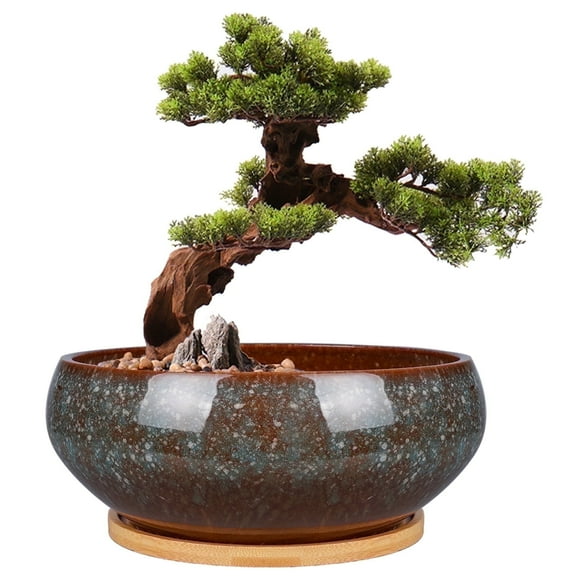 Bonsai Pot 8 inch Ceramic Shallow Round Planter with Drainage & Saucer, Flower Pots for Succulents & Indoor Plants Home Office Decor Brown