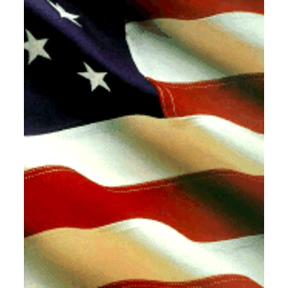 Understanding American Government (Paperback) by Susan Welch, Jan P Vermeer, John Comer