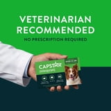 CAPSTAR Nitenpyram Fast-Acting Oral Flea Treatment Pills for Large Dogs ...
