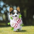 thumbnail image 5 of KMWGRE Durable Interactive Dog Chew Toys for Aggressive Chewers TPR Puppy Teething Cleaning Chewing Biting Training Play Supplies B 18x18x18cm, 5 of 5