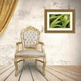 thumbnail image 3 of Berzel, Erin 32x23 Gold Ornate Wood Framed with Double Matting Museum Art Print Titled - Aloe II, 3 of 4