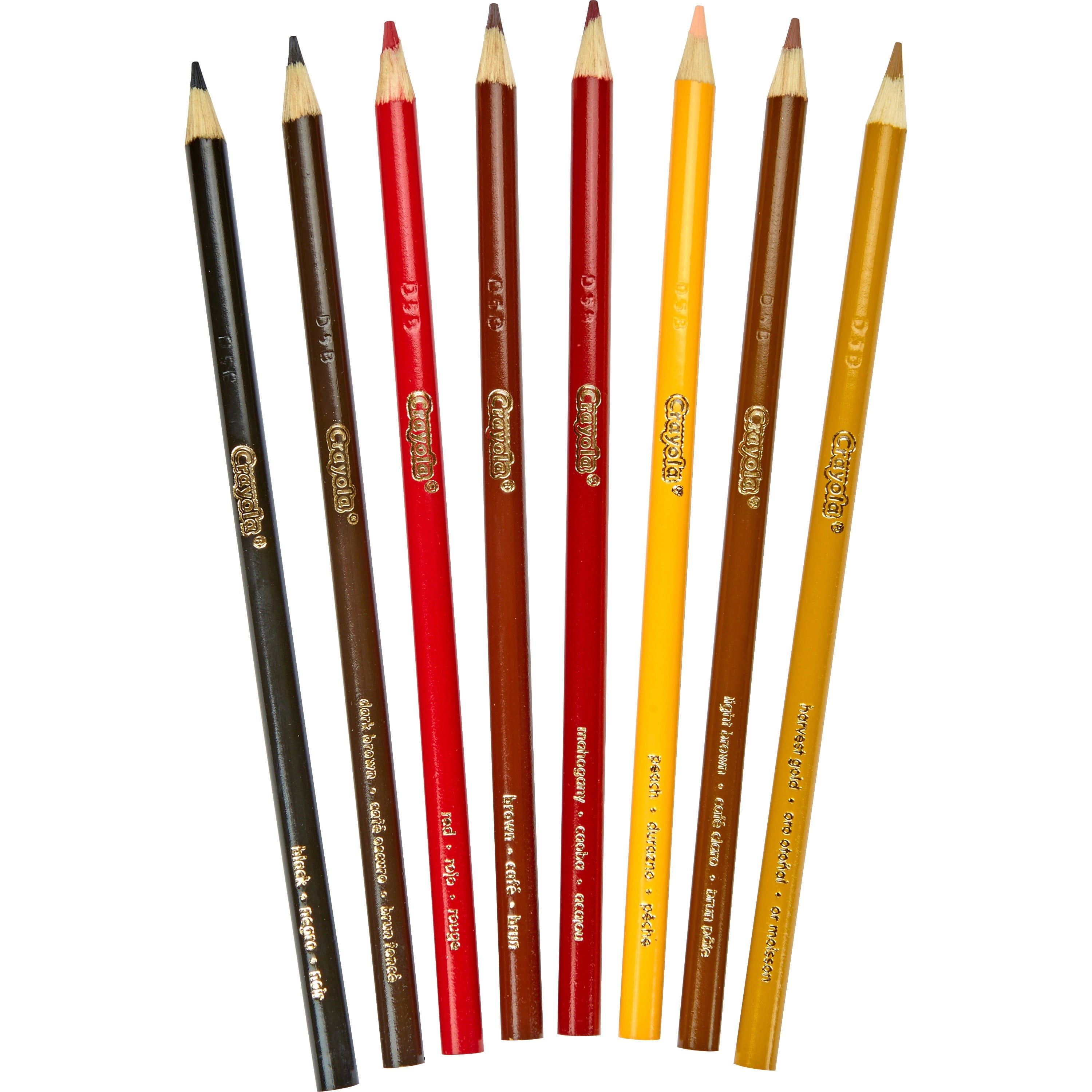 8 Crayola Multicultural Pencil Crayons Coloured Pencils