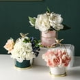 thumbnail image 4 of Abbracc Ceramic Fleshy Hydroponic Flower Pot with Golden Iron Stand White, 4 of 9